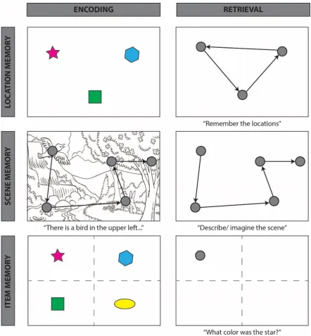 Figure 3. Schematic of “looking at nothing” behavior, whereby participants reinstate encoding-related eye movements during retrieval in the absence of visual input, across three task types