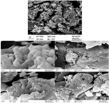 Figure 3.shows the FESEM images of the prepared V 2 O 5  sample at different magnifications
