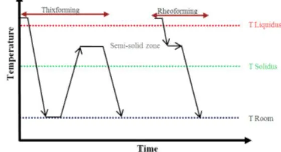 Fig. 1: Schematic representation of the two main categories of SSM processing. 