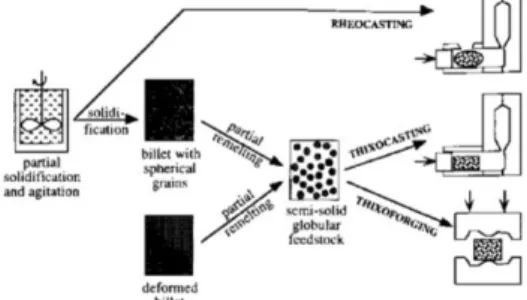 Fig. 4: Schematic illustration of different routes for semi-solid metal processing (Quaak, C.J., 1996)