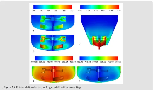 Figure 2: CFD simulation during cooling crystallization presenting