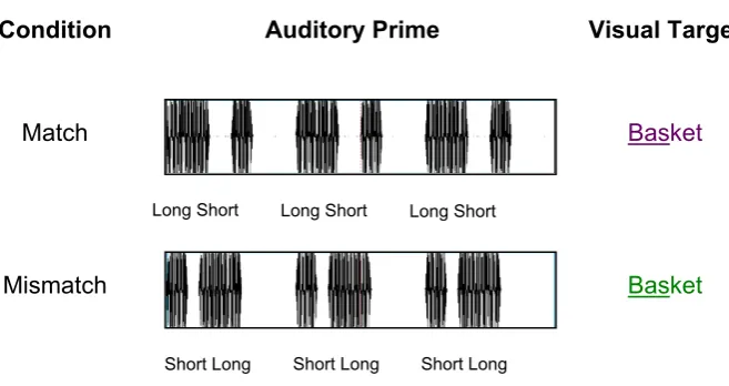 Figure 1.or mismatch the prime (Note: stressed syllable is underlined). Rhythmic cross-modal priming experimental paradigm