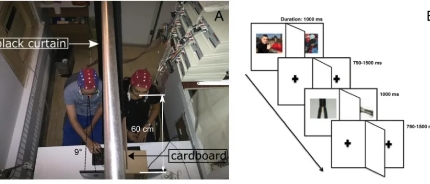 Figure 2. Experimental setup and stimuli presentation.  
