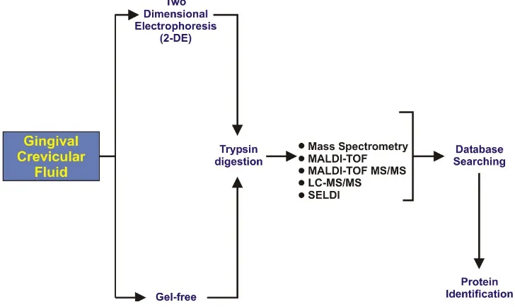 Figure 2.Figure 2. Illustration representing the steps of gingival crevicular fluids (GCF) proteomics analysis