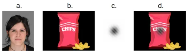 Figure 1 used in Experiment 7. 1b. Illustration of snack-food stimulus similar to the ones used in Experiments 5-6