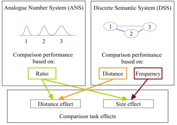 Figure 1. The sources of the distance and size effects according to the two models.