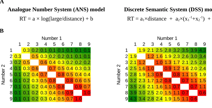 Figure 2. (A) Reaction time (RT) function for the ANS model (based on Crossman, 1955; Moyer & Landauer, 1967) (left) and a hypothetical RT function for the DSS model where the reaction time is proportional to a combination of the specific forms of the dist