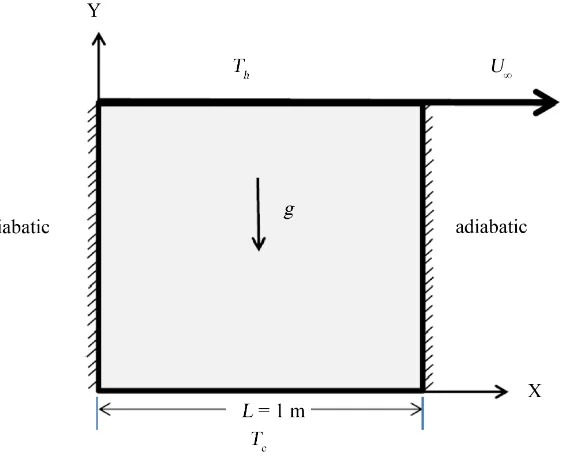 Figure 1. Schematic of the square lid-driven cavity.                                          