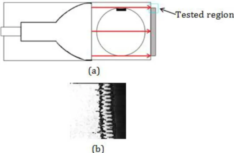 Fig. 10: (a) Partially right blocked block diagram (b) Image. 