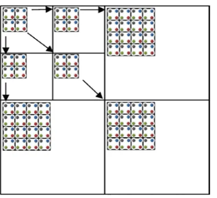 Fig. 6 Convert Colour Image to Gray scale Image 