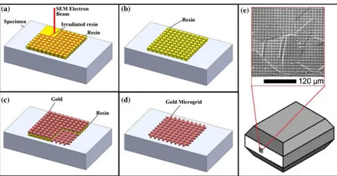 Fig. 2 (a) Deposited resin irradiated by the electron beam, (b) irradiated resin removed with solvent, (c) gold sputtered over the area, (d) removal ofremaining resin to reveal the microgrid and (e) final result at the surface of the tapered specimen