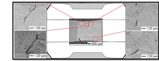 Fig. 4 Microgrid afterdeformation with close-up viewshighlighting damage along grainboundaries