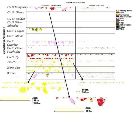 Fig. 4.  The forms of copper sulphides separations in the primary ore sample – C5 