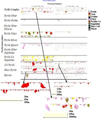 Fig. 5. The forms of pyrite separations in the primary ore sample – C5  
