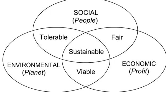 Figure 3 The triple bottom line and interactions