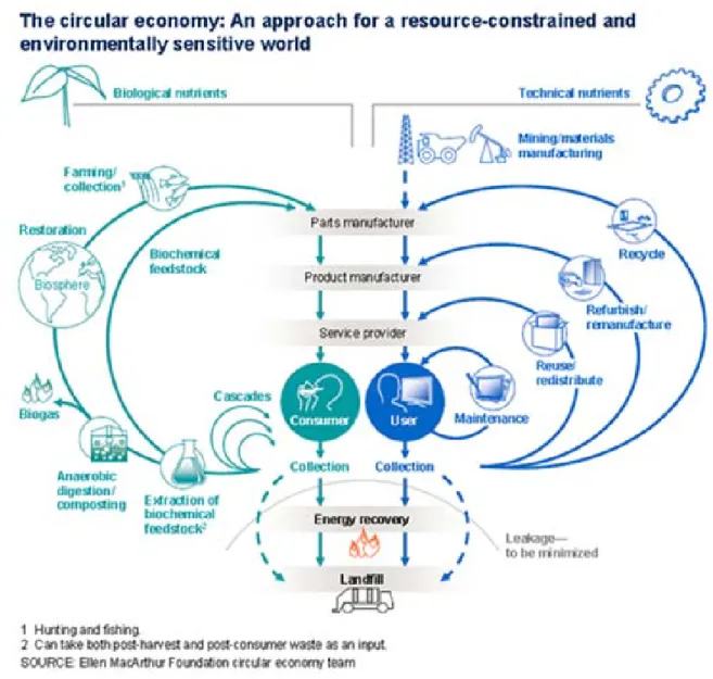 Figure 4 The Circular Economy