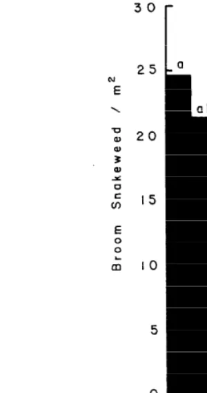Fig. 2. Broom snakeweed densities (number/m”) in 1977 resulting from six treatments oj tebuthiuron on a Loamy site in eastern New Mexico, Means with similar superscripts are not significantly different (P~0.05)
