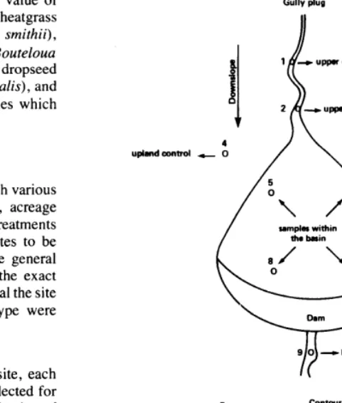 Fig. 1. Plan view oj gully the sampling positions. plug and cross-section contour furrow showing 