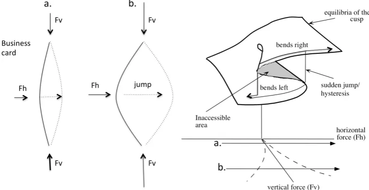 Figure 4. The cusp catastrophe illustrated by the dynamics of a simple business card. Vertical pressure (Fv) on the card is the splitting variable and horizontal pressure (Fh) is the normal variable