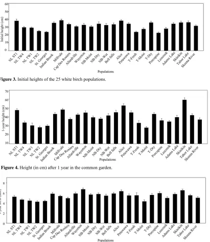 Figure 3. Initial heights of the 25 white birch populations. 