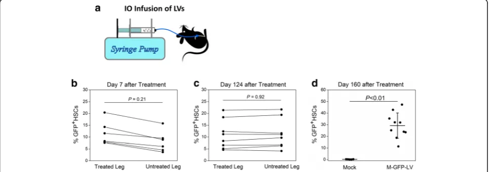 Fig. 1 GFP expression in BM cells following IO infusion of M-GFP-LV.of 10 a Schematic of IO infusion of vectors into the mice with an infusion speed μl/min, which was precisely controlled by a programmable microfluidics syringe pump