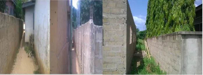 Figure 2. The two main roadways in Mepe. 