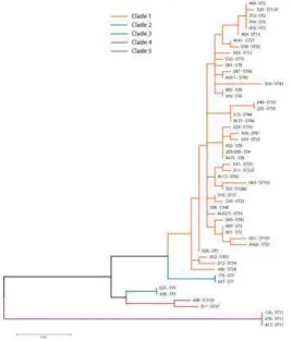 Figure 2: Distribution of commonest CE-ribotyping profiles depending on age of patients