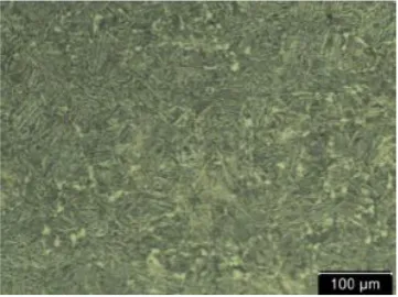 Fig 2: Optical microscopy image from structure of initial tube before heat treatment 