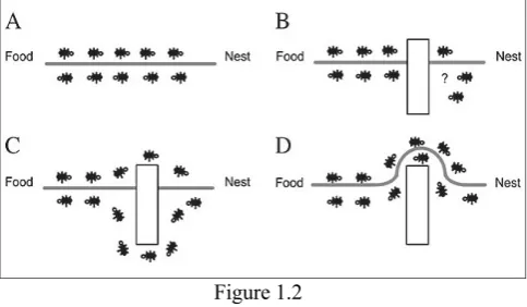 Figure 1.2  use of GAs for knowledge discovery from large datasets. Kapila et. al.[3] proposed an enhanced genetic algorithm for 