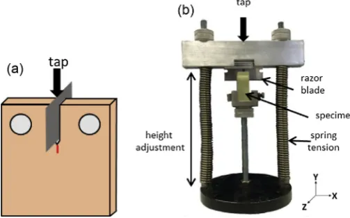 Fig. 1. (a) Pre-cracking with a razor blade and (b) prototype pre-crack rig.