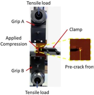 Fig. 3. Contact areas of the compressive load of (a) the G-clamp and (b) the T-clamp.