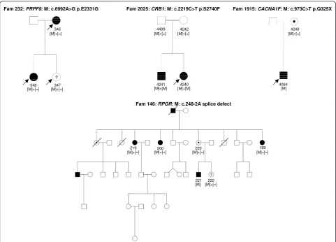 Figure 4 Detection of novel mutations using NGS in 254 retinal genes. Novel mutations in PRPF8, CRB1, RPGR and CACNA1F co-segregatedin affected and asymptomatic carriers with the adRP, arRP, x-linked dominant and X-liked icCSNB phenotypes respectively