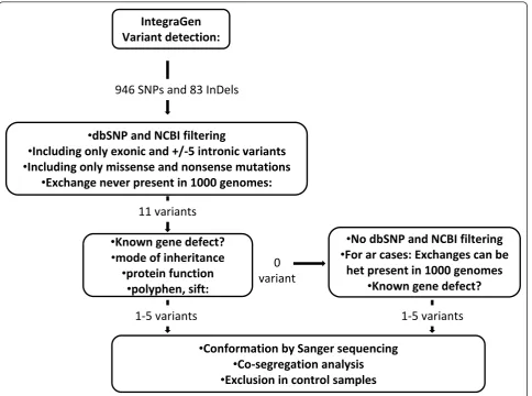 Figure 1 Flow chart of variant analysisinDels were detected, of which 11 represent missense, nonsense or putative splice site mutations, which were absent in dbSNB, NCBI and 1000genome databases