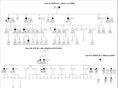 Figure 2 Detection of known mutations by NGS in 254 retinal genes. The index patient 19 of family 16 with adRP revealed the p.T494Mmutations in PRPF3, which co-segregates with the phenotype