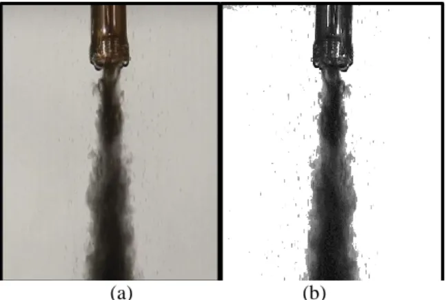 Fig. 3: Cropped sample RGB image (a) and the corresponding Kittler-Illingworth thresholded image (b)