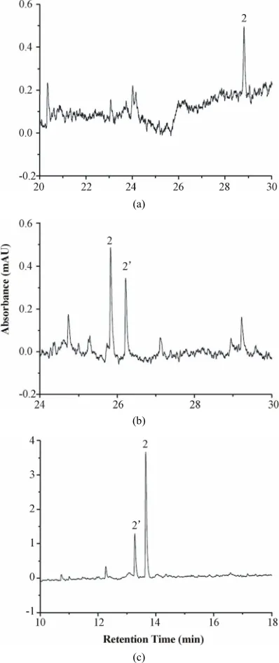 Figure 2 shows the release behavior of BSA encapsu- 