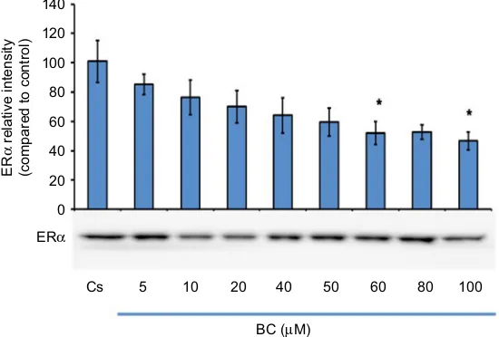 Figure 1 displays the data of the concentration dependency study on the levels of ERα protein