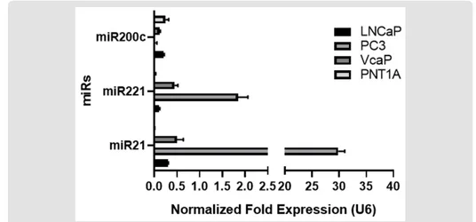 Figure 1: microRNA expression profile of PCa cell lines by RT-qPCR. Higher expression of miR-221 and miR-21 were detected in PC3 and VCaP cells; low expression of miR21 and 221 was found in PNT1A and LNCaP cell lines