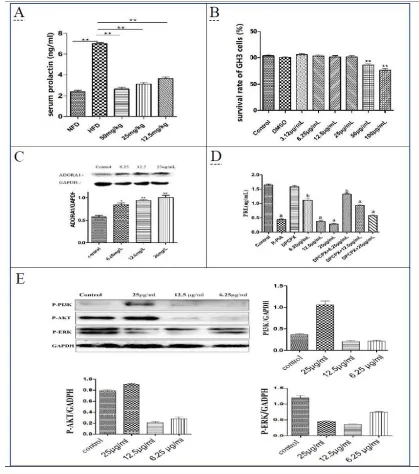 Figure 2 Cordycepin downregulate prolactin secretion via adenosine A1 pathway in vivo and 