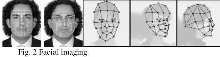Fig. 2 Facial imaging 