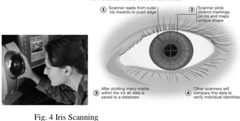 Fig. 4 Iris Scanning 