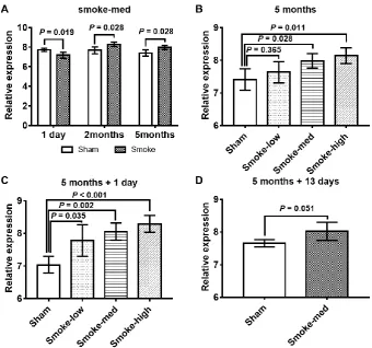 Figure 3. Data analysis of smoking-exposed mouse model. (A) ACE2 expression levels measured at different times after medium smoking (smoke-med) exposure; (B) ACE2 expression levels in different dose groups after 5 months of smoking exposure; (C) ACE2 expre