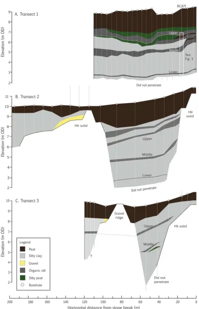 Figure 4Lithostratigraphy of ������� ����� �������� ��ong A) Transect 1, B) Transect 2 