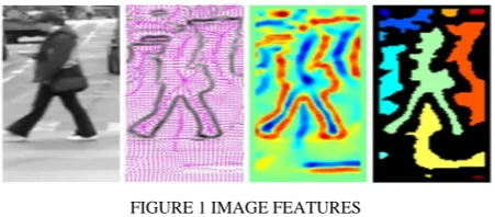 FIGURE 1 IMAGE FEATURES 