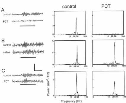 Figure 2. from individual trials at the left (note logarithmic scale Left: traces peak (C) Injection after (ii) injection absent after injection (ii), (B) LFP recordings before (i) and after (ii) injection Injection of PCT into AL, but not mushroom body, eliminates LFP oscillations, (A-C) of LFP recordings and during odor stimulation (horizontal bar), Right: Power spectra on x-axis), (A) LFP recordings before (i) and of PCT into the AL Oscillations show a large peak at -28 Hz in control (i) are of saline into the AL of PCT into the calyx of the mushroom (next to LFP recording site) does not eliminate in spectrum, Different animal in each experiment Calibrations: horizontal, 0,5 s; vertical, 1 mV (A,B), 250 µV (C), 