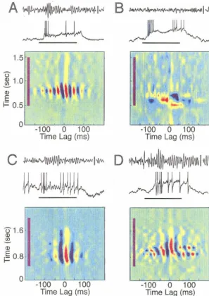 Figure 3. Picrotoxin injection in the antenna! lobe selectively abolishes the oscillatory The cross-correlation is aperiodic, indicating desynchronization synchronization but not the responsiveness of PNs