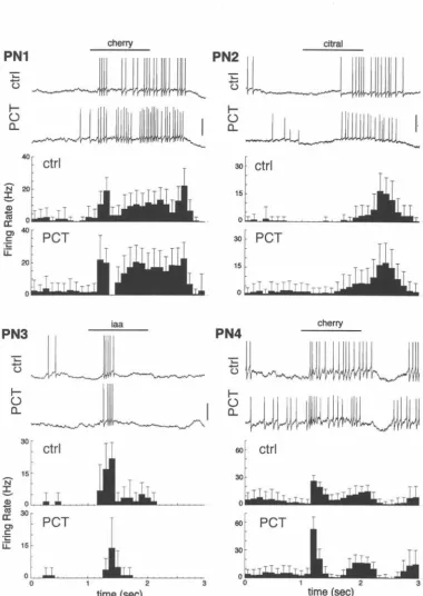 Figure 5. PN responses have slow temporal patterns histograms. Calibrations (electrophysiological traces): horizontal, I one from a different experiment