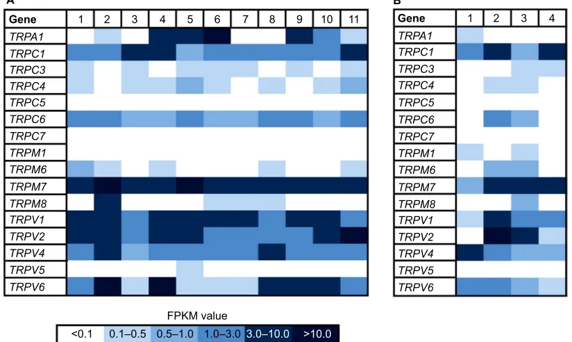 Figure 1 Heat map of TRP channel expression in 11 native human breast cancer tissues and four healthy breast tissues.Notes: (A) Heat map shows FPKM values for the different TRP channels expressed in 11 breast cancer tissues