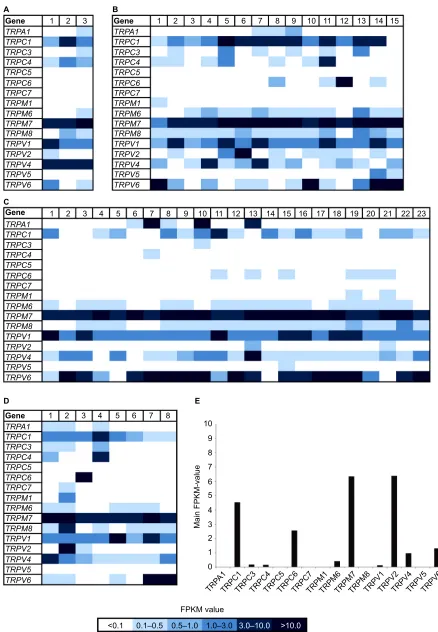 Figure 2 Heat map of TRP channel expression in 49 breast cancer cell lines and healthy tissues.Notes: (A) Breast cancer cell lines derived from tumors with mutated BRCA1 genes; n = 3