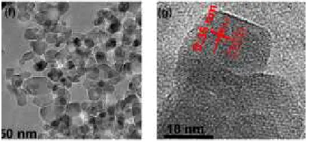 Figure 1. TEM images of of 0.20 wt% Pd1/TiO2 catalyst particles at different high-resolution